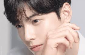 Cha Eun-woo/Advertising