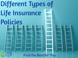 Auto liability coverage, uninsured and underinsured motorist coverage, comprehensive coverage, collision coverage, medical payments coverage and personal injury protection. Top 10 Different Types Of Life Insurance Policies The Definitive Guide 2020 Update