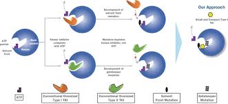 Image result for ROS1 Inhibitor