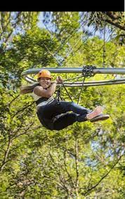 Treetop Adventure Park Ziplining Roller Coaster Adventure Park