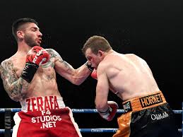I am a professional boxer, currently sitting at number 1 in the middleweight division in australia and number 4 in the world. Boxing And Mma Latest Boxing And Mma News Page 18 Daily Telegraph