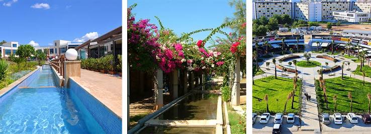 Kampüste Yaşam -