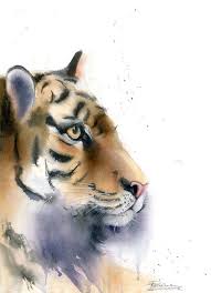 Tiger Portrait 2019 Watercolour By Olga Shefranov In 2020 Watercolor Tiger Tiger Art Tiger Artwork