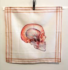 A Skull In Ballpoint Pen On Handkerchief Drawing Six drawing classes guide the reader to see the human body afresh, offering techniques and attitudes that imaginatively show how to view and draw the skeleton, head, ribcage. ballpoint pen on handkerchief drawing