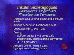 Image result for Meglitinide