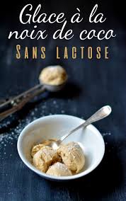 Delicieuse Glace A La Noix De Coco Sans Lactose Sans Gluten Scarlett O Hlala Glace Noix De Coco Sans Lactose Creme Glacee Sans Lactose
