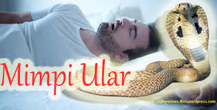 Arti mimpi ular hitam menurut islam diartikan sebagai peringatan ilmu gaib yang ditujukan kepada anda juga bisa jadi pada orang terdekat anda. Arti Mimpi Digigit Ular Menurut Islam