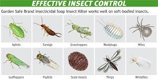 The following pesticide groups use a variety of botanical extracts, microbes, minerals and more to effectively control target. Natures Best Farms Sri Lanka