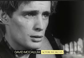 Blast from the past: A **24-year-old David **chatting with Anne Heywood in  the first two photos. Others include Jill Ireland, Stanley Baker, John  Davies, and J Arthur Rank himself. **Rank Productions 21st