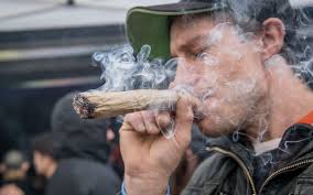 This Week in Cannabis: Top Stories From Across Canada From Apr. 12-19