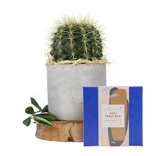 How to calculate chronological age by hand. Cacti And Chocolates Plant Gift Ideas Edible Blooms