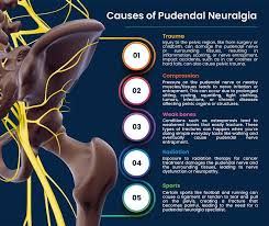 Image result for Pudendal Block