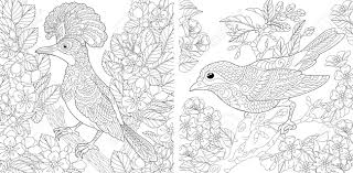 An inky treasure hunt and coloring book is probably the book that started it all. Adult Coloring Pages Beautiful Birds In The Spring Garden Line Royalty Free Cliparts Vectors And Stock Illustration Image 146991223