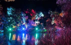 A Complete Guide To Enchanted Forest Of Light At Descanso Gardens Enchanted Forest Land Art Biodome