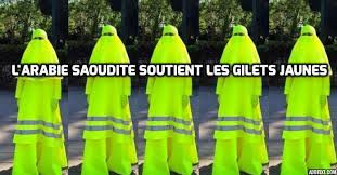 RÃ©sultat de recherche d'images pour "les gilets jaunes humour"
