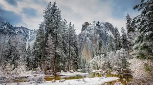 8k ultra hd nature wallpaper. Ultra Hd 8k 7680x4320 Natures Miracle Hd Wallpaper Wallpaperbetter