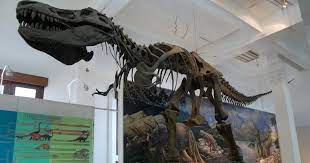 Lowongan kerja museum geologi bandung posisi belum tersedia dan lainnya untuk bulan juni 2021 Museum Geologi Bandung Rute Lokasi Dan Harga Tiket Masuk