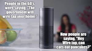 Others will consume their entire litter. Can Cats Eat Pancakes Libertarianmeme