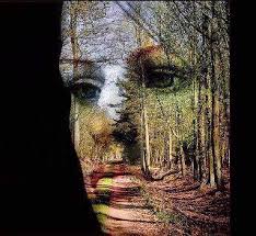 Woman S Face Dirt Road Trees Art Landscape Illusion Paintings Nature