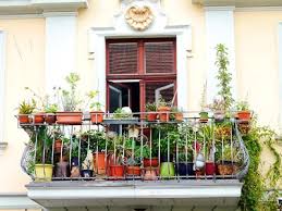 Die früheste pflanzzeit beginnt im april / mai, wenn die nachtfrostgefahr gesunken ist. Balkon Bepflanzen So Wird S Gemacht Hagebau De