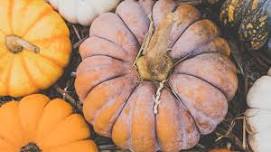 2026 Pennsboro Pumpkin Fest