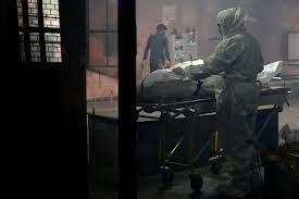 Hongosar tiene por objeto el uso sustentable y difusión integral del. Que Es El Hongo Negro La Infeccion Mortal Detectada En India Entre Pacientes Con Covid 19 Salud