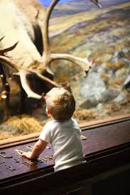 A Cup Of Jo Nyc Guide 8 Favorite Activities For Toddlers Nyc Guide New York City Museums Activities In Nyc