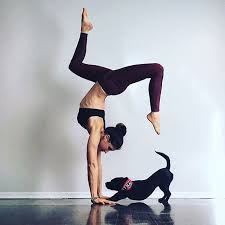 Some Pursue Happiness Others Create It Hilarious Yogapose Riva G Beautiful Yoga Yoga Lifestyle Yoga Poses