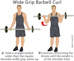 Standing Barbell Curl Forms Techniques Tips And Pictures