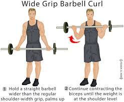 standing barbell curl forms techniques tips and pictures