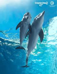 Pin By Anjo Amika On Clearwater Marine Aquarium Winter The Dolphin Dolphin Tale Clearwater Marine Aquarium Sea Dolphin