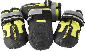 Not all dogs like wearing shoes, and it may take time before your fido. Protect Your Dog S Paws From Snow Ice Salt American Kennel Club