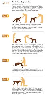 Pin By Lmo Art On Training Dog Training Obedience Training Your Dog Dog Training Tips