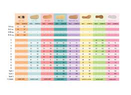 Skechers Toddler Size Chart Best Picture Of Chart Anyimage Org