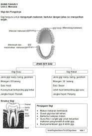 Kertas peperiksaan ini adalah sains / dunia sains dan teknologi untuk murid darjah 3 mengikut kurikulum standard sekolah rendah (kssr). Nota Ringkas Sains Tahun 3 Kssr