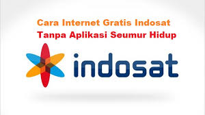 Tentu saja ini bisa menjadi hal yang paling menyenangkan. Cara Internet Gratis Indosat Tanpa Aplikasi 2021 Cara1001