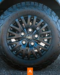 Image result for Tan 2025 Fleet