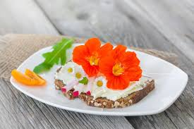 Unsere Top 20 Essbaren Bluten Essbare Bluten Lebensmittel Essen Essen