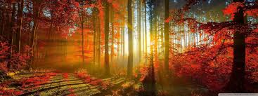 The monitor raiser also creates a storage room that allows to put some books, speaker and other things inside. Fall Dual Monitor Wallpapers Top Free Fall Dual Monitor Backgrounds Wallpaperaccess