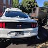 Plates will not appear right away though. Https Encrypted Tbn0 Gstatic Com Images Q Tbn And9gcqbzcr1bbysl4g7qyzy9bhmr6vo9rwwvvbjybxhrhddo Aexs3w Usqp Cau