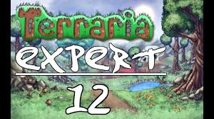 Waifu simulator 27 2.519 views8 months ago. Terraria Expert 12 Metal Detector Youtube