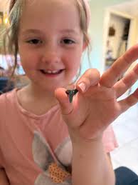 What are the best tools for sifting sand?