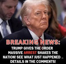 I didn't ask who gave the order. Because it had nothing to do with  business. 🙀🍝👮