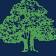 Arbor Homes