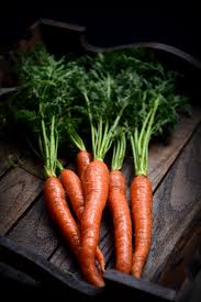 Just Carrots Carrot Vegetable Fruit And Veg Food Photography