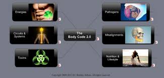 Exceptional Healing With The Body Code Home