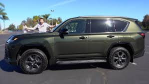 Image result for Nori Green 2025 LZ