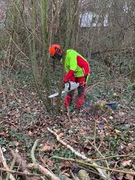 Jahresstart Mit Kettensage In 2020 Landschaftsbau Gartenbau Bau