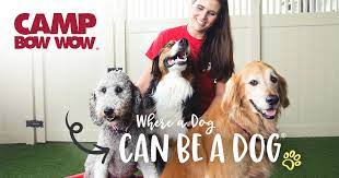 Camp bow wow, dog & pet training, pet grooming. Dog Care Services Doggy Day Care Boarding Camp Bow Wow