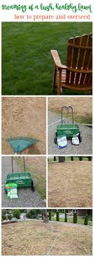 It pulls out approximately one half inch wide and three inches long grass and soil plug from the yard. Before After Lawn Makeover Project The Happy Housie Diy Lawn Healthy Lawn Lawn Care